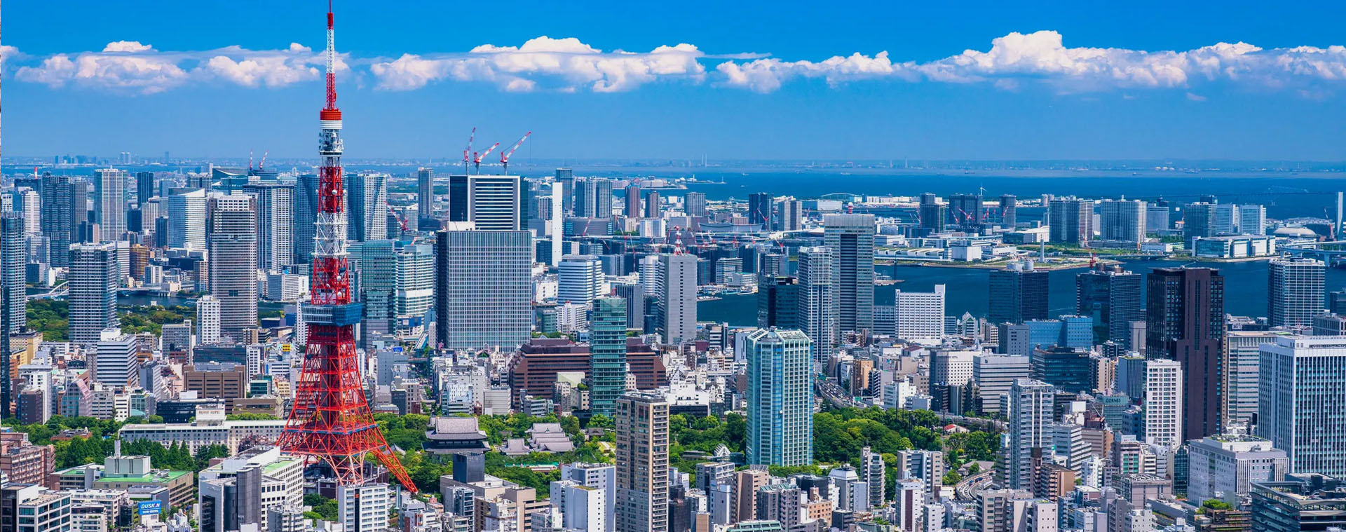 北京蕗游国际旅行社